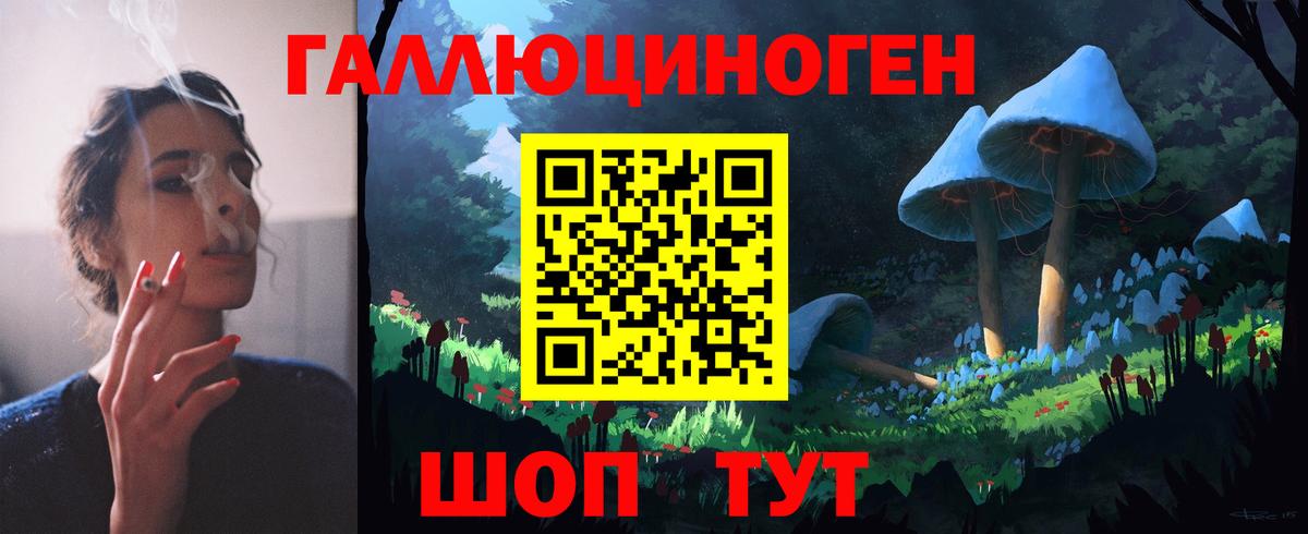 Псилоцибиновые грибы GOLDEN TEACHER  Вход с VPN  Губкинский  купить наркотик  Псилоцибиновые грибы Psilocybine cubensis 