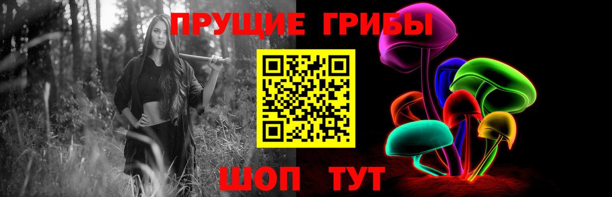 Псилоцибиновые грибы Psilocybine cubensis Губкинский